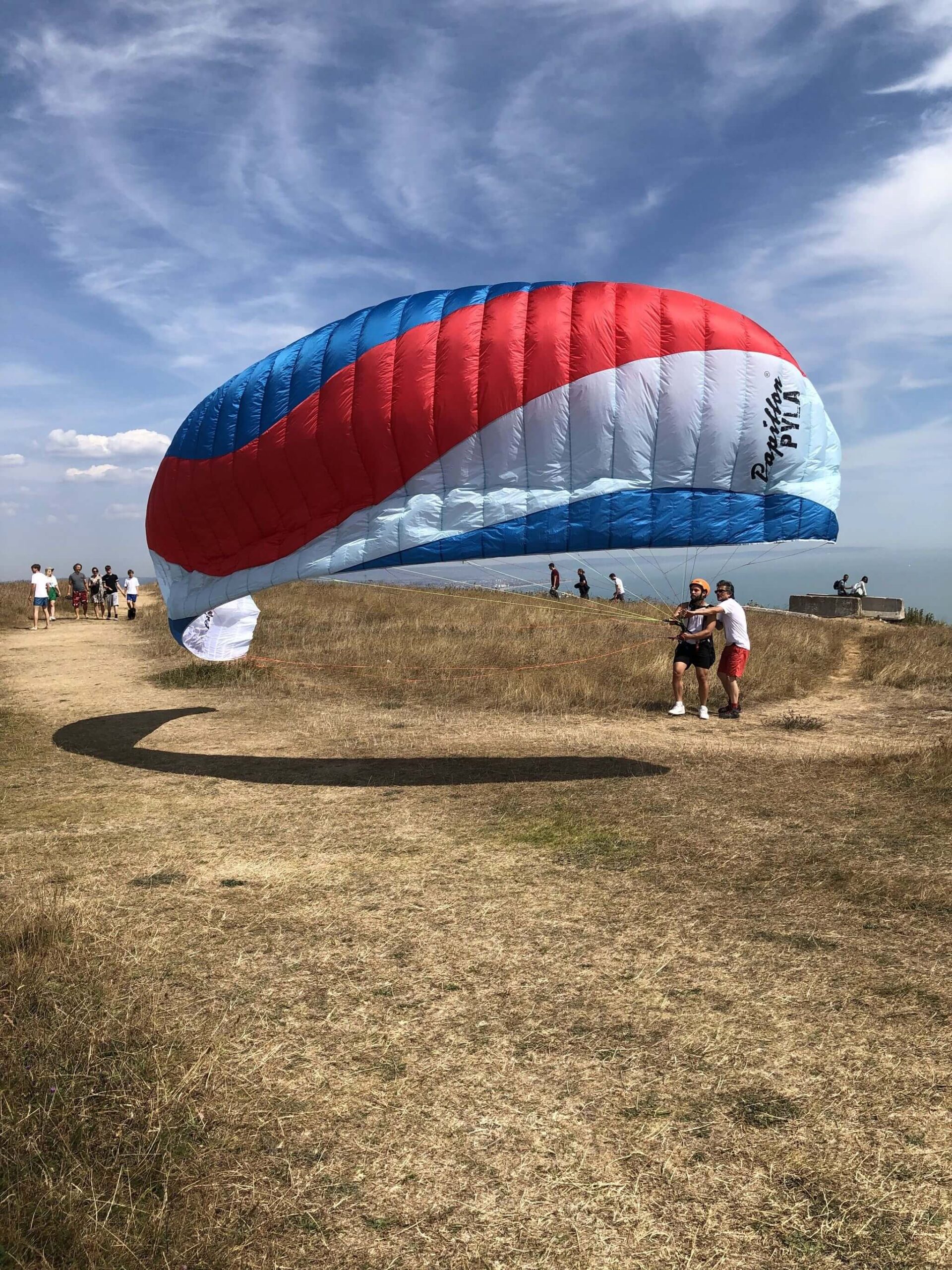 Papillon Pyla - Bodyguard 7 (45-65 kg) - Image 2