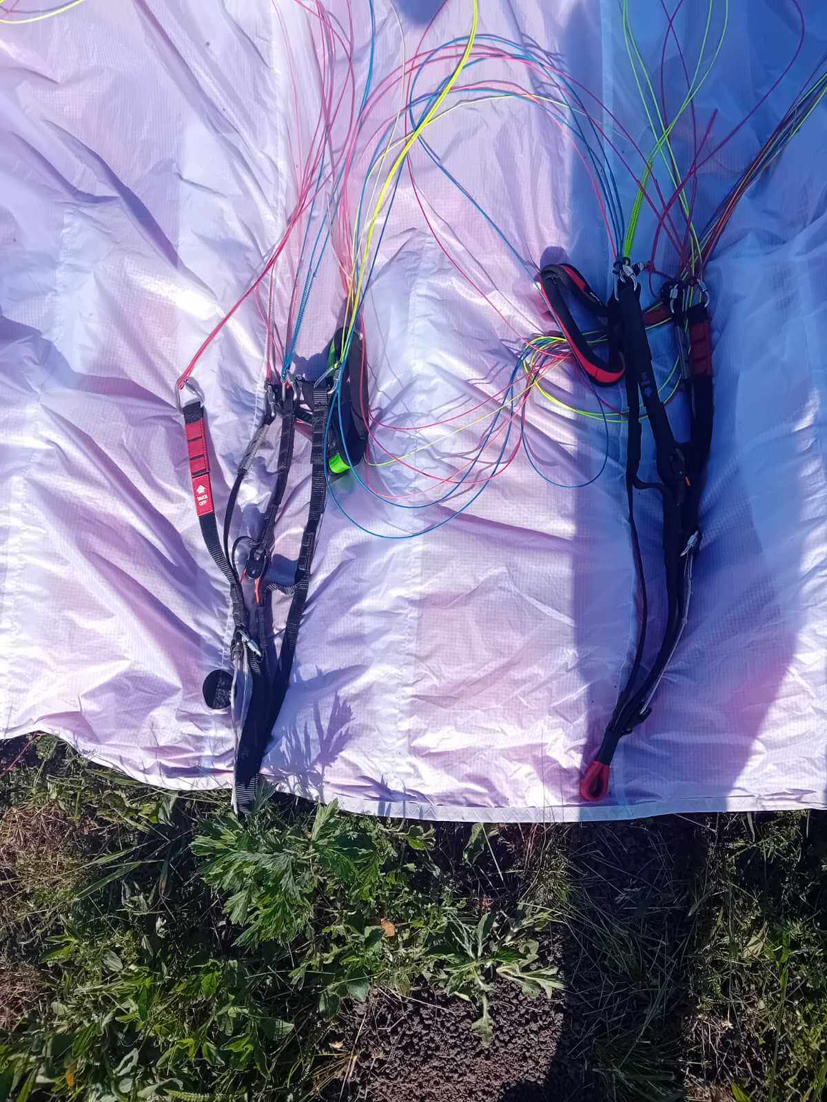 Swing Mito (85-110 kg) - Image 3