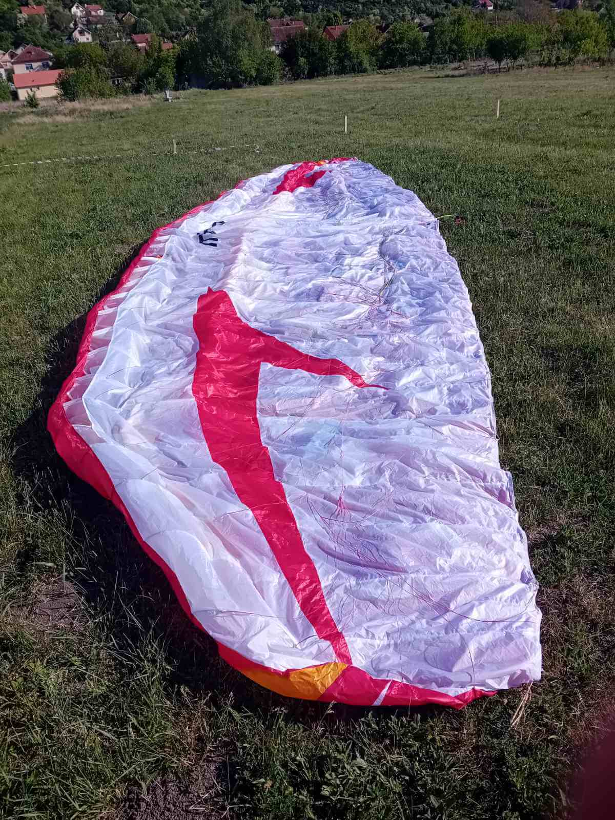 Swing Mito (85-110 kg) - Image 2