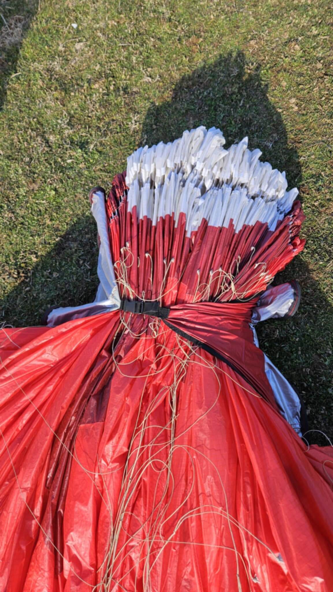 Gin Leopard (105-127 kg) - Image 2