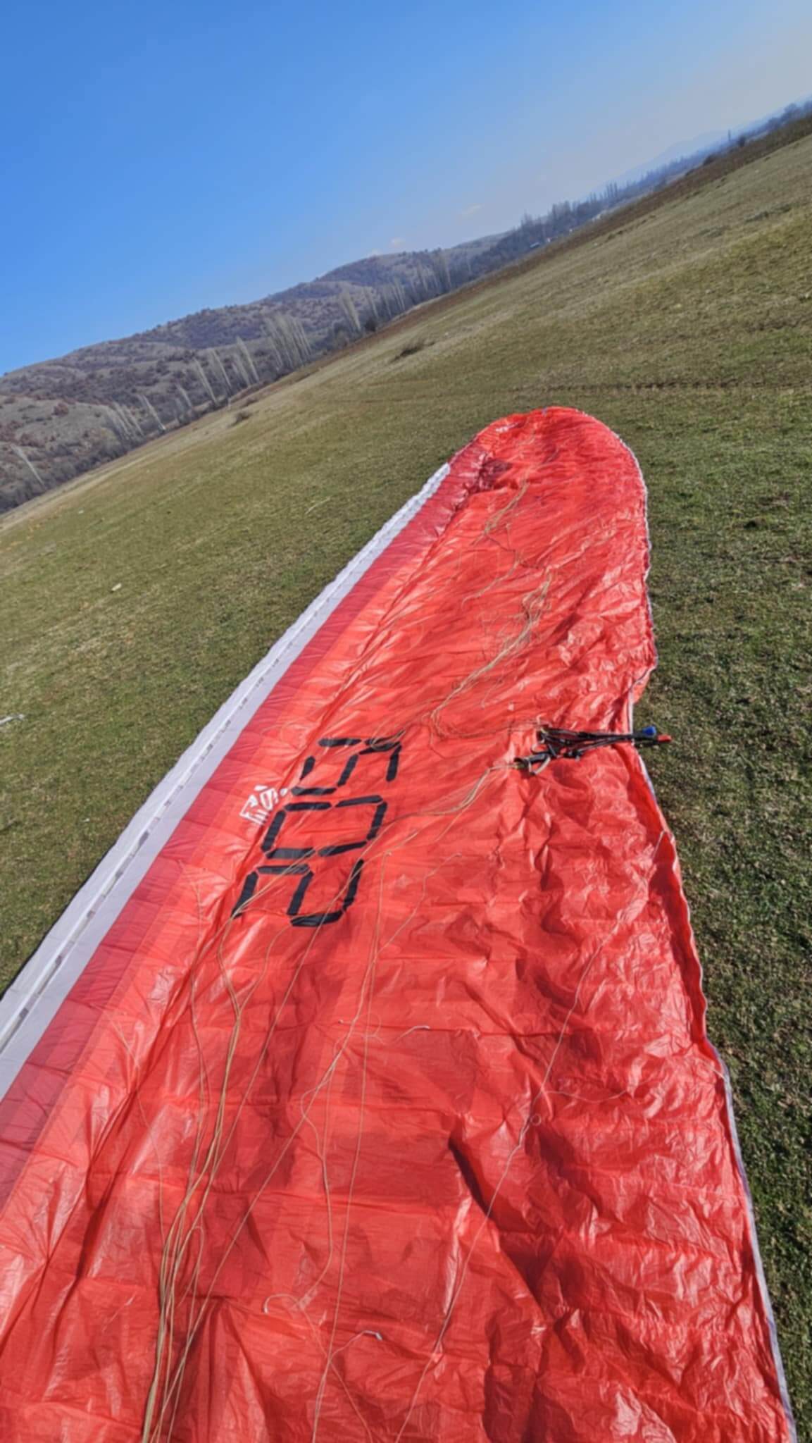 Gin Leopard (105-127 kg) - Image 3