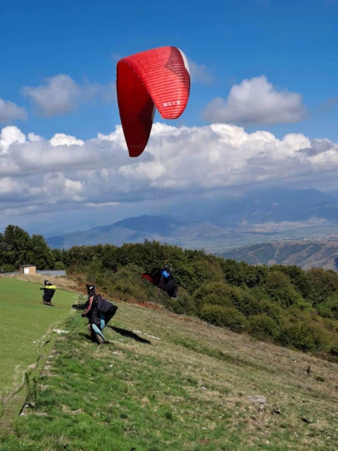 Gin Leopard (105-127 kg) - Image 6