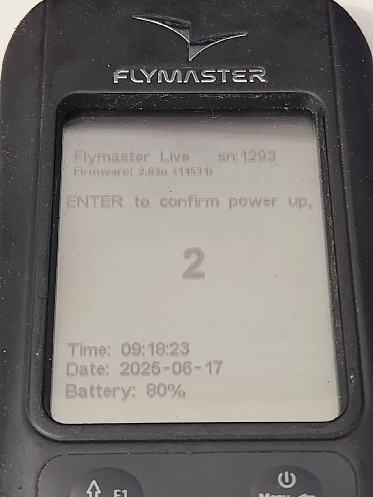 Flymaster Live - Image 2