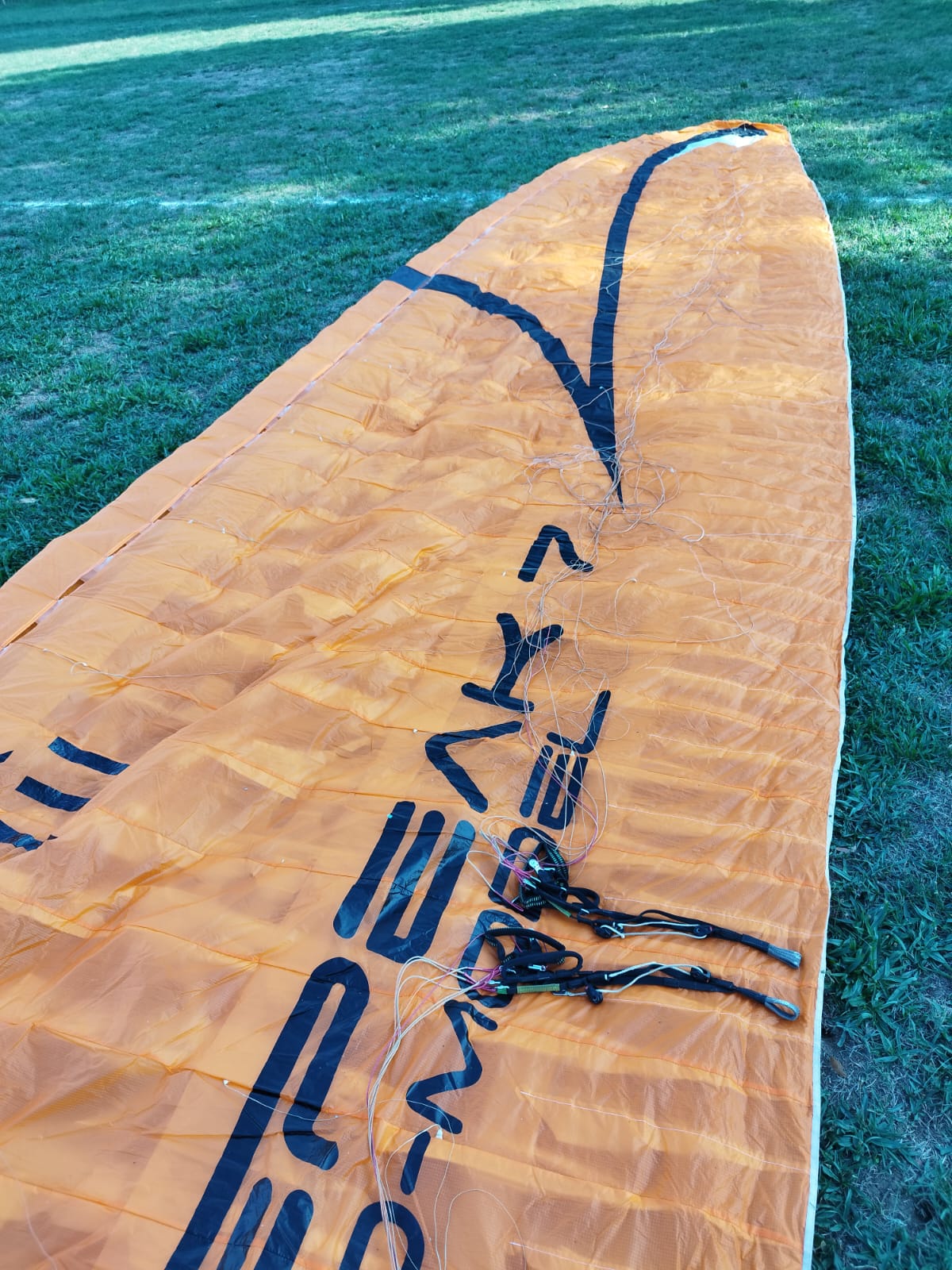 Tandem Papillion P42 + Full Kit - Image 16