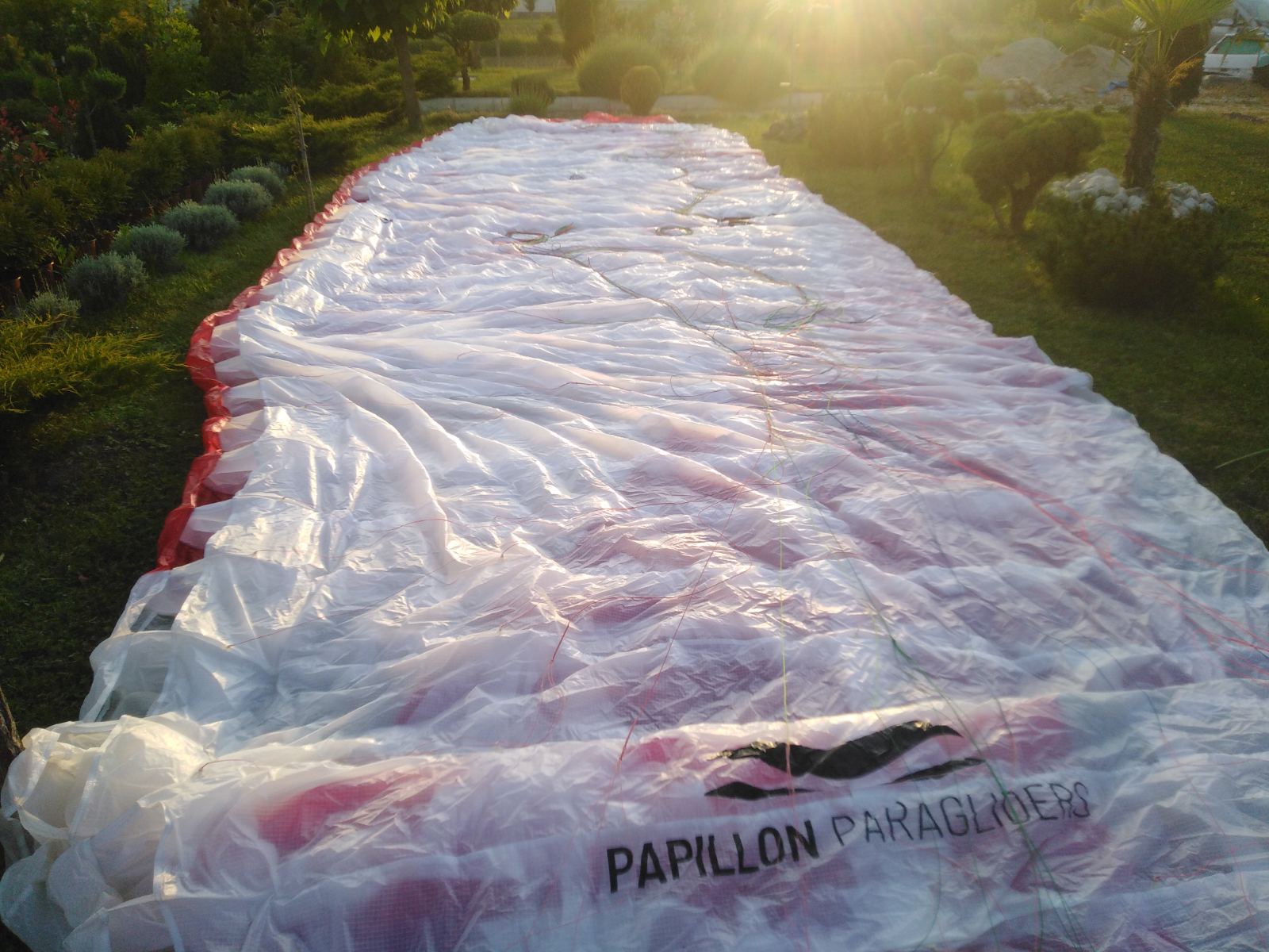 Tandem Papillion P42 + Full Kit - Image 2