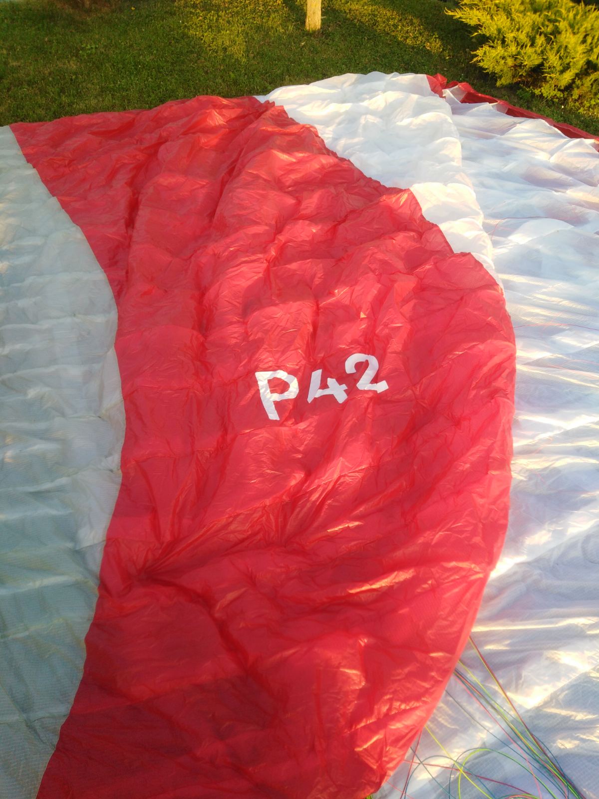 Tandem Papillion P42 + Full Kit - Image 4