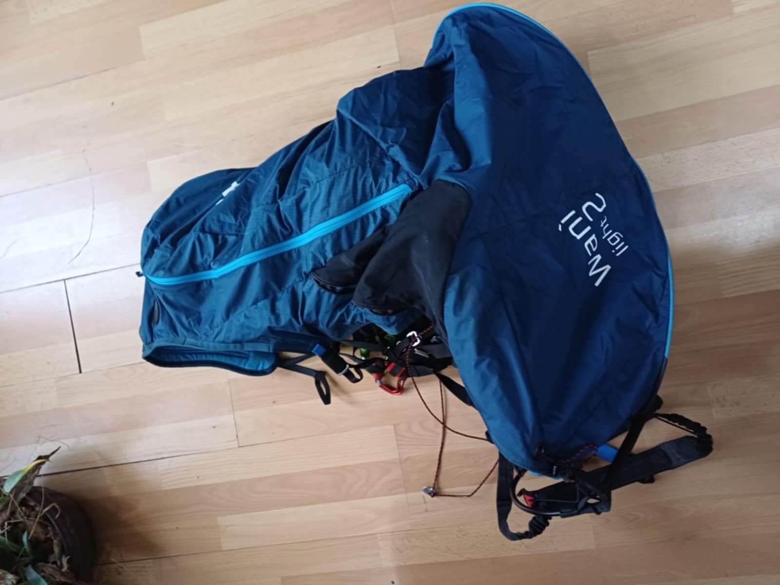 Woody Valley Wani Light 2 (L) - Image 4