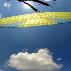 Niviuk Peak 4 EN D 2-liner paraglider size 25 parrot colors second hand in excellent condition